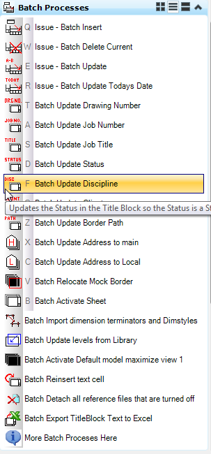 Batch Update Discipline Task