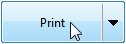 PrinterWizard_Print_Button