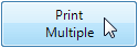 PrinterWizard_Print_Multiple_Button